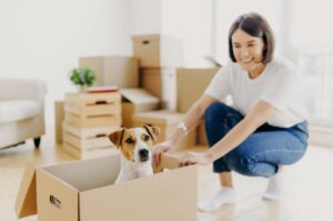 SDL Akademie, Seminar Facility Management